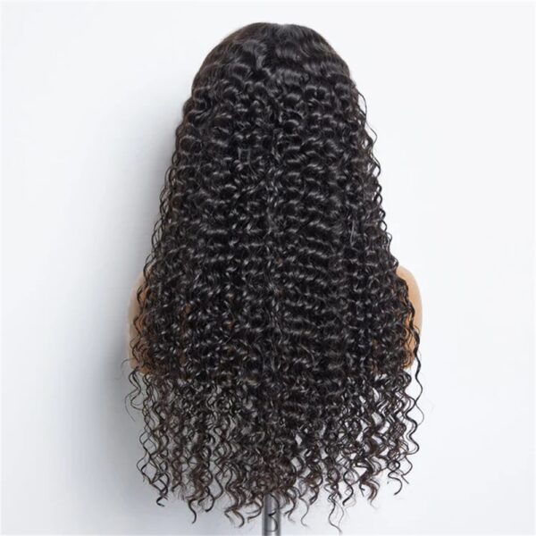 Deep Wave Glueless HD Lace Wig Silky and Shining Unprocessed 100% Human Hair